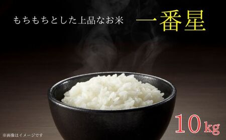 s ߘa7NY t ŏiȐHuԐv10kg ^   R   Ԑ V  ͂ ߘa7NY 10kg 錧  