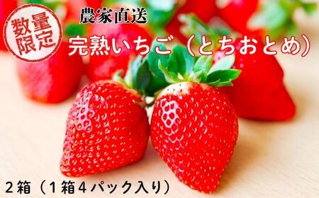 y s\ ^ ʌ z_ƒ@NxQ̊n䕁@iƂƂ߁j8pbNi4pbN2j ^   C`S Xgx[ ʕ t[c n ƂƂ _ƒ Yn