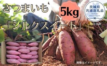 さつまいも「シルクスイート」約5kg(2025年産)(茨城県共通返礼品・行方市産) / さつまいも さつま芋 サツマイモ 薩摩芋 甘薯 シルクスイート 5kg 野菜 茨城県 送料無料