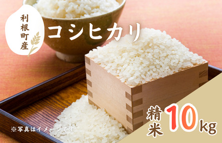 YRVqJ@10kg ^   R   RVqJ Ђ ߘa7NY V    ͂ 10kg 