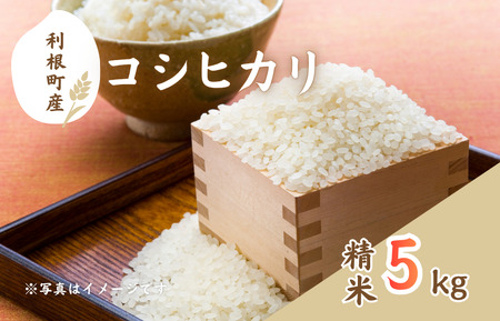 YRVqJ@5kg ^   R   RVqJ Ђ ߘa7NY V    ͂ 10kg 