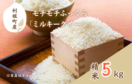 モチモチふっくら「ミルキークイーン」精米5kg / 米 こめ コメ お米 ご飯 ごはん ミルキークイーン 白米 精米 令和7年産 新米 5kg 利根町 送料無料