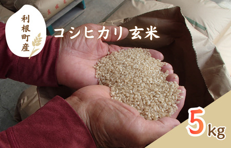 利根町産 コシヒカリ 玄米 5kg / 米 こめ コメ お米 おこめ コシヒカリ こしひかり 令和7年産 新米 玄米 ごはん ご飯 5kg 健康志向 茨城県 利根町 産地直送 送料無料