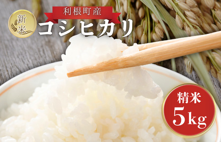 Y@RVqJ@ā@5kg ^   R   RVqJ Ђ ߘa7NY V   ͂  5kg 錧  Yn 