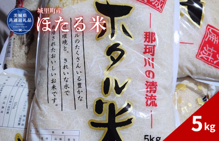 ほたる米 5kg(茨城県共通返礼品・城里町産) / 米 こめ コメ お米 おこめ ほたる米 白米 精米 ごはん ご飯 令和7年産 5kg 茨城県 城里町 利根町