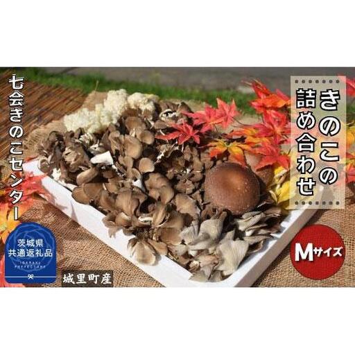 きのこ詰め合わせ　Mサイズ（茨城県共通返礼品／城里町産） / 茨城県 利根町 きのこ キノコ 舞茸 椎茸 あわび茸 たもぎ茸 はなびら茸