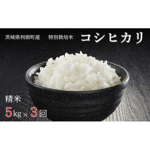 [3ヶ月定期便]利根町産[特別栽培米]コシヒカリ 精米5kg×3回 / お米 コメ こめ ごはん コシヒカリ 白米 精米 5kg 特別栽培 令和7年産 定期便 3回 茨城県 利根町