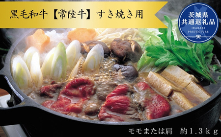 јay헤zĂp@1.3kgi͌j(錧ʕԗi)