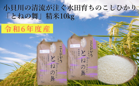 小貝川の清流が注ぐ水田育ち「とねの舞」（コシヒカリ）精米10kg