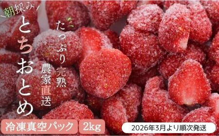 y󂠂/2026N3蔭znE݂ƂꂽĂ̗Ⓚ ƂƂ 2kg ^ _ƒ ƂƂ   C`S n Ⓚ ^pbN ʕ t[c \ s\ 󂠂 A