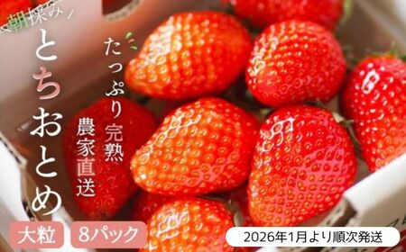 y2026N1蔭z_ƒIEݎnĂ̊nƂƂ2i14pbNj ^ ƂƂ   C`S n ʕ t[c \ s\ 錧  