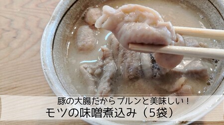 豚肉の味噌煮込の返礼品 検索結果 | ふるさと納税サイト「ふるなび」