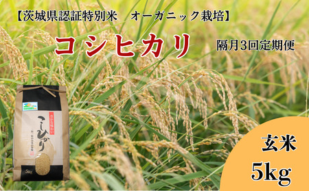 [隔月3回定期便]コシヒカリ 玄米5kg×3回[茨城県認証米/オーガニック栽培]