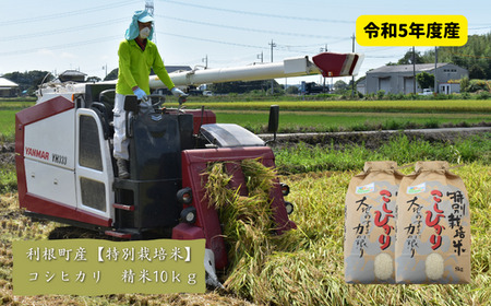 利根町産[特別栽培米]コシヒカリ 精米10kg