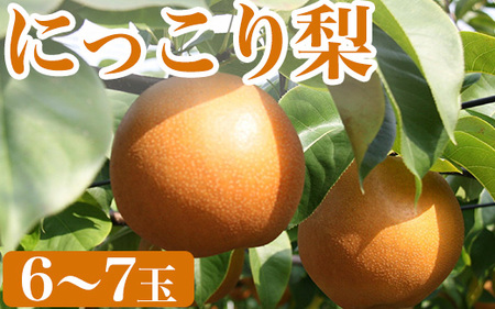 [先行予約][産地直送]にっこり梨(6玉〜7玉) ※離島への配送不可 ※2024年10月上旬〜10月下旬頃に順次発送予定