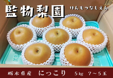 [先行予約]栃木県産 大玉の梨[にっこり]5kg サイズ:7〜5玉 ※北海道・沖縄・離島への配送不可 ※2025年10月下旬〜11月下旬頃に順次発送予定