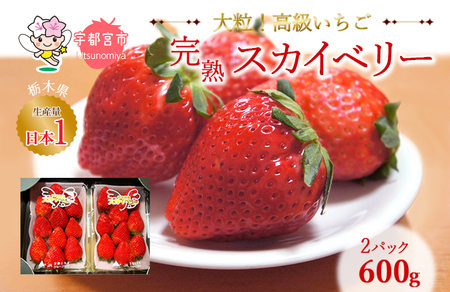 高級いちご 完熟スカイベリー2パック 600g 