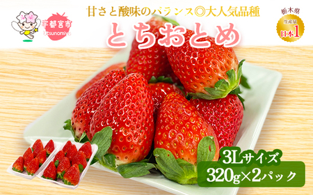 [先行予約]とちおとめ320g×2パック 3Lサイズ | いちご 栃木 とちおとめ 甘い 糖度 旬 新鮮 フルーツ 果物 アレンジ スイーツ いちごジャム フルーツサンド※2025年1月中旬頃より順次発送予定