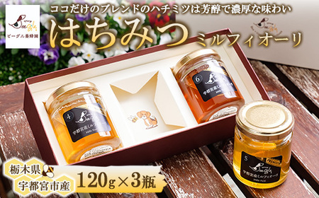 ビーグル養蜂園 はちみつ 3個セットギフトセレクション|宇都宮産ミルフィオーリ Mille Fiori 大谷産 ハチミツ 国産 非加熱 純粋 蜂蜜 無添加 ギフト プレゼント 贈答品 ※離島への配送不可