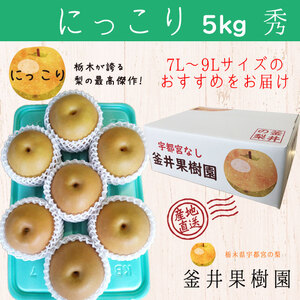 にっこり 5kg 6～8玉 ｜ 栃木県産 宇都宮市 梨 なし にっこり フルーツ 果物 ※離島への配送不可 ※2025年10月上旬頃より順次発送予定
