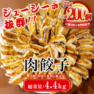 餃子専門店 宇都宮 悟空 肉餃子 22g×200個入｜ 餃子 冷凍 ぎょうざ ギョーザ 大容量 肉たっぷり 肉多め 人気 名物 行列 国産野菜 国産豚肉 ジューシー スタミナ パリパリ もちもち グルメ おかず おつまみ 栃木県 簡単 小分け 冷凍食品※離島への配送不可