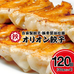 オリオン餃子 餃子 120個（30個入り×4）