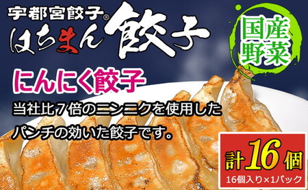 宇都宮餃子 はちまん餃子 にんにく餃子 16個(16個入り×1パック/1個 22g) | 宇都宮餃子 国産野菜 グルメ 宇都宮市 にんにく ぎょうざ ギョーザ 野菜 冷凍食品 冷凍餃子 焼き餃子 水餃子