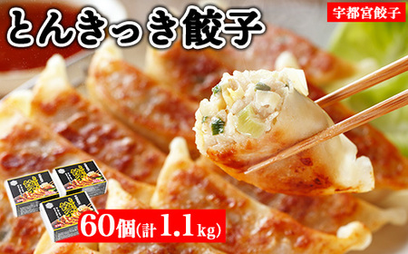 宇都宮餃子 とんきっき 餃子60個セット(計1.1kg) ※離島への配送不可