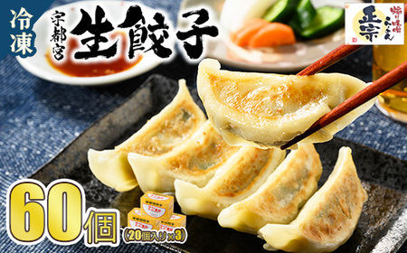 餃子20個入り×3箱(60個) | ふるさと納税 餃子 冷凍 ギョウザ 冷凍食品 惣菜 お取り寄せ グルメ 送料無料 宇都宮 栃木県