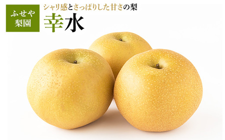 幸水 5kg [ふせや梨園]| 農家直送 梨 ナシ 果物 フルーツ 宇都宮市 栃木県 ※2025年8月下旬頃より順次発送予定