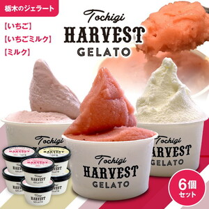 WF[guHarvest Gelatov 6bWF[g WF[g ACXN[ ACXZbg XC[c fU[g ~N ăMtg 蕨 Ԃ a v[g Mtg j  oY