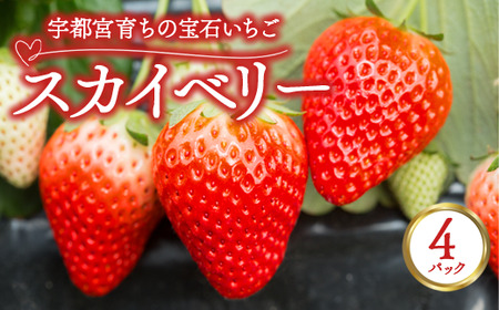 宇都宮育ちの宝石いちご「スカイベリー」 4パック | 苺 イチゴ 果物 フルーツ 栃木県 宇都宮市 ※2025年12月中旬〜2026年3月下旬頃に順次発送予定