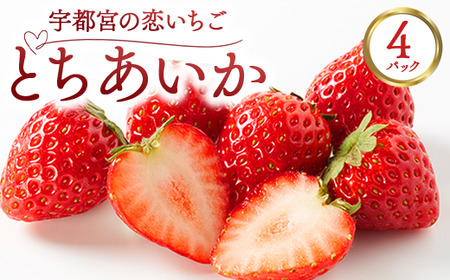 宇都宮の恋いちご「とちあいか」 4パック ―甘くて可愛い、愛されいちご― | 苺 イチゴ 果物 フルーツ 栃木県 宇都宮市 ※2025年12月中旬〜2026年3月下旬頃に順次発送予定