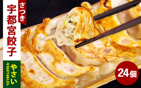 やさい餃子 24個入り×1箱(480g)