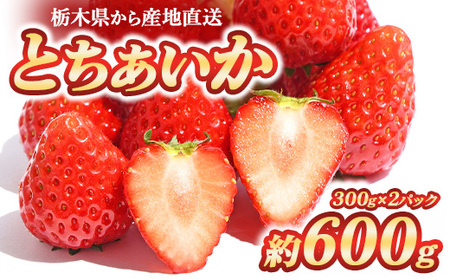 [数量限定] とちあいか 300g×2パック 