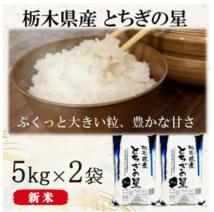 [令和6年産・新米]栃木県産とちぎの星 (精米)5kg×2袋 | お米 白米 一等米 送料無料 栃木県 宇都宮市 ※離島への配送不可