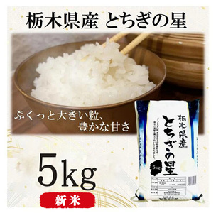 [令和6年産・新米]栃木県産とちぎの星(精米)5kg×1袋 | お米 白米 一等米 送料無料 栃木県 宇都宮市 ※離島への配送不可