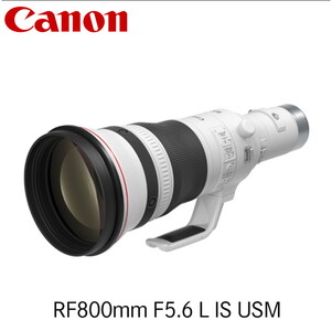 キヤノン Canon 望遠レンズ RF800mm F5.6 L IS USM