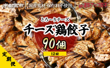 [定期便12回] チーズ鶏餃子 (90個×12回 合計1,080個)[配送不可地域:離島]