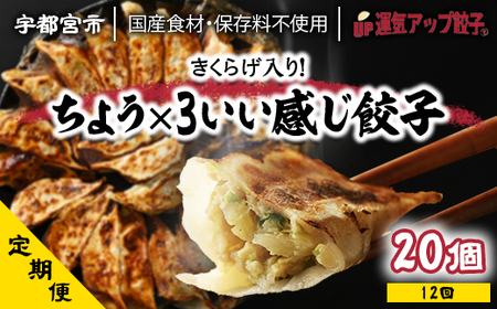 『定期便』宇都宮餃子 ちょう×3いい感じ餃子 保存料不使用 全12回[配送不可地域:離島]