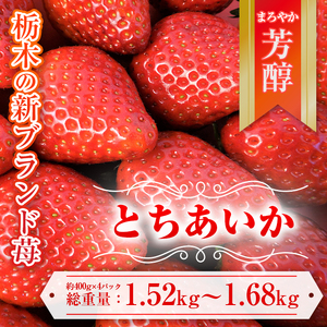 ys\zƂ 380g`420g×4pbN |  C`S  Ȗ Ƃ V Â x n[g^ t[c ʕ XC[c W Mtg Yn ւ̔zs 2026