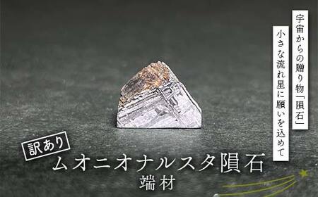 ムオニオナルスタ隕石 訳あり F7Z-1325