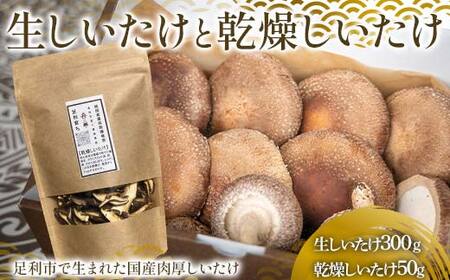 Yۏ 300gA50gZbg Y  ő Ȗ F7Z-1351