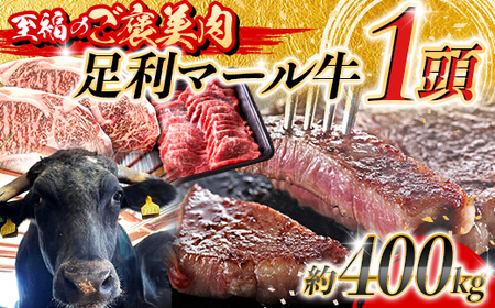 ŷJz}[1I@400kg F7Z-1651