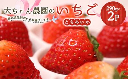 ̌tbV 傿_̂(Ƃ)290g×2pbN  C`S  fU[g t[c ʕ  ʎ Hi F7Z-1718