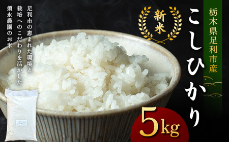 令和7年産 新米 栃木県足利市産 コシヒカリ5kg 精米 白米 米 こめ ごはん 食品 栃木県 足利市