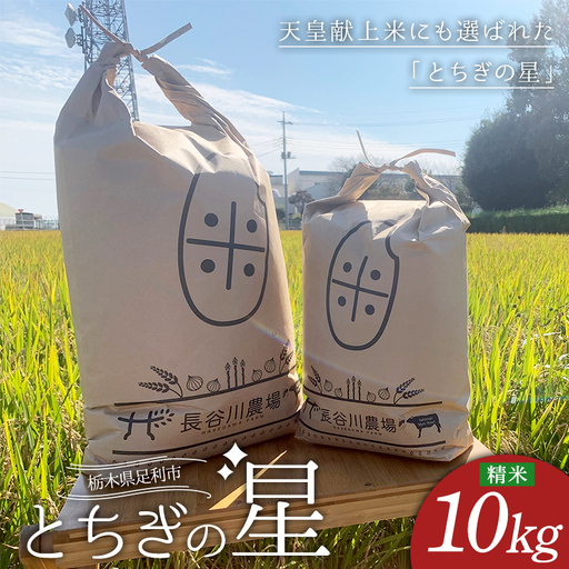 とちぎの星 お米 10kg 米 こめ 食品 農家 贈答 贈り物 ギフト プレゼント 家庭 自宅 栃木県 足利市
