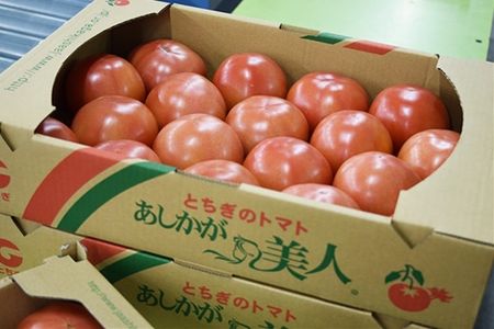 太陽の恵みを受けて育ったあしかが美人トマト４ｋｇ＜出荷開始：2023年12月1日～2024年6月30日＞