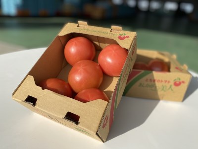 太陽の恵みを受けて育ったあしかが美人トマト1kg箱?2箱[出荷開始:2023年12月1日〜2024年6月30日]
