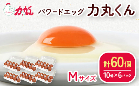 p[hGbO͊ۂ MTCY60 q12t͗N1ȍ~̔ƂȂ܂r F7Z-395